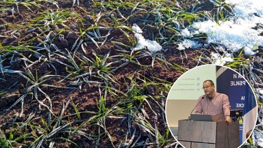 Dobre zalihe vlage i azota u strnim žitima daju nadu - Šta još kažu na 60. savetovanju agronoma?