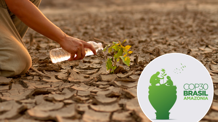 U Brazilu otvorena Konferencija o klimi COP30: Samo kukanje nije strategija, potrebna su rešenja