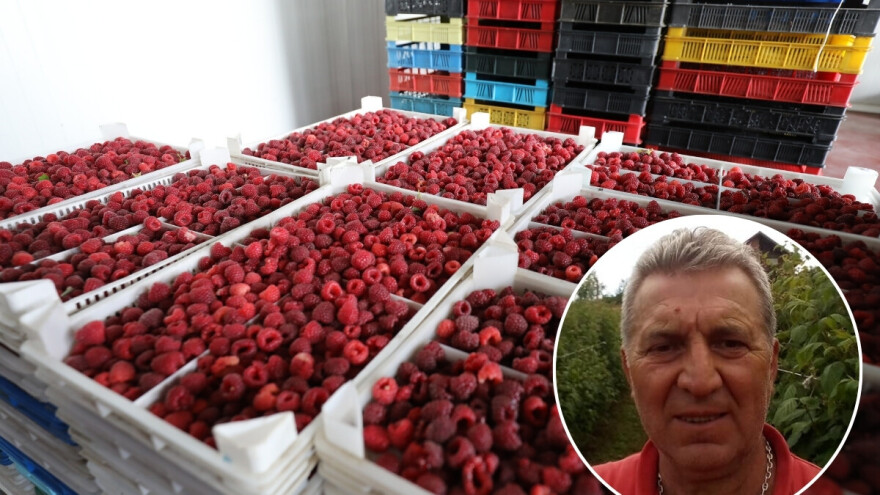 Završili sezonu, ali ne i naplatu: "Malinjak do malinjaka – jednom 6, drugom 8,50 KM/kg"