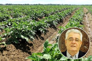 Nakon dužeg nestabilnog vremena pred nama je temperaturni stres