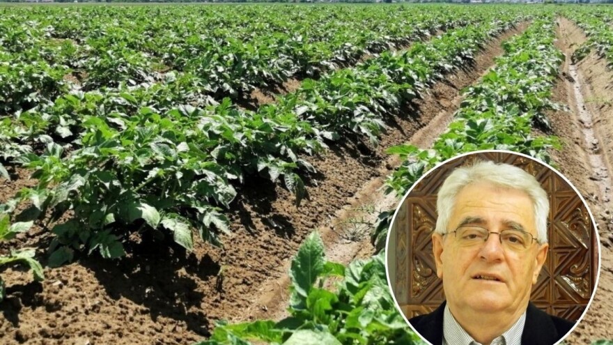 Nakon dužeg nestabilnog vremena pred nama je temperaturni stres