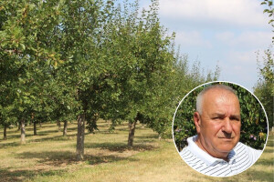 Raif Čolić: "Šljiva nema, ovo nisam zapamtio u 20 godina"