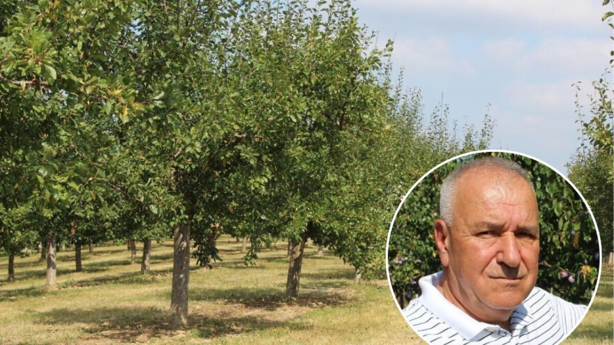 Raif Čolić: "Šljiva nema, ovo nisam zapamtio u 20 godina"