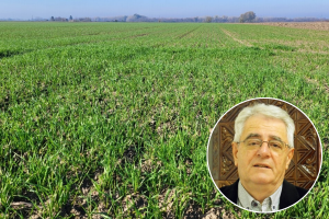 Sveta Kata, snijeg na vrata