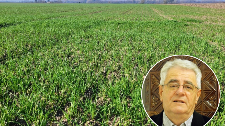 Sveta Kata, snijeg na vrata