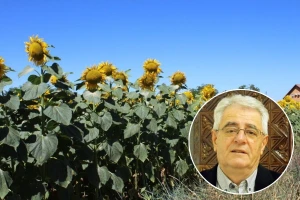 Temperature će biti primjerene srpnju, a oborine vrlo malo ili nikako