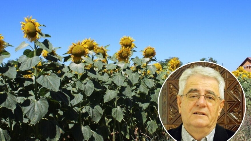 Temperature će biti primjerene srpnju, a oborine vrlo malo ili nikako