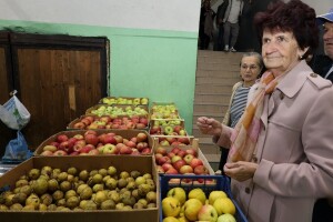 Obale Drine ponovo su mjesto susreta i novih ideja: Počeli "Dani jabuke"