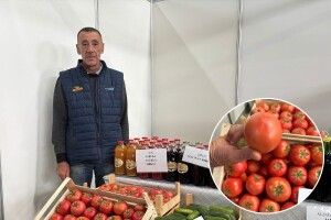 Pogledajte Midhatov paradajz: "Ovo je eksperiment, ničim ga nisam štitio"