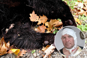 Lovac Edin u dramatičnoj borbi savladao medvjedicu: "Bacila se na mene kao puma"