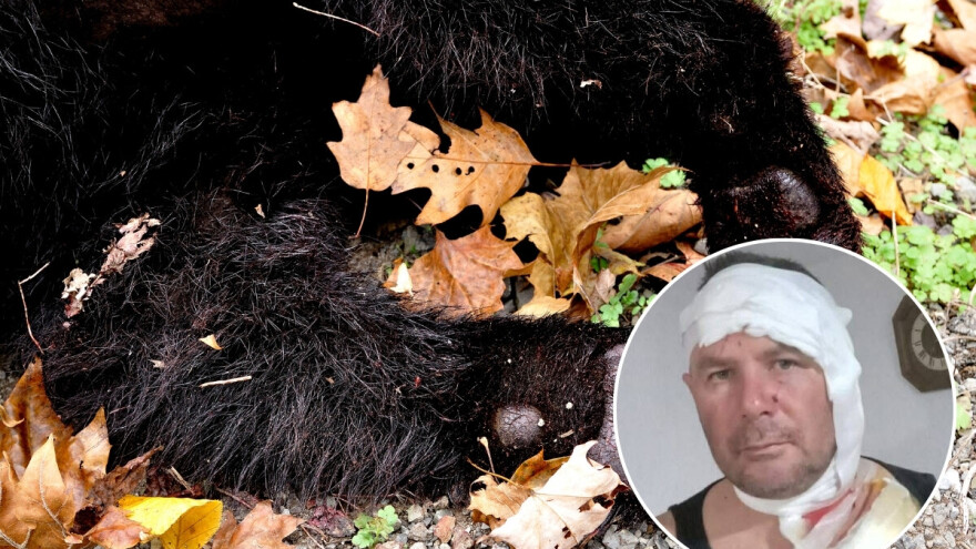 Lovac Edin u dramatičnoj borbi savladao medvjedicu: "Bacila se na mene kao puma"