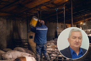 Od kukuruza na njivama, do svinjskog buta: Zašto su primarni proizvođači u najnezahvalnijoj poziciji?