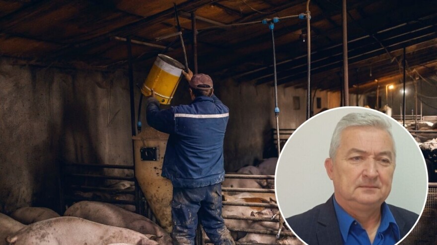 Od kukuruza na njivama, do svinjskog buta: Zašto su primarni proizvođači u najnezahvalnijoj poziciji?