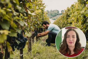 Na natječaju odbijen mladi školovani istarski vinar obrtnik jer mu je osnovna djelatnost "proizvodnja vina"