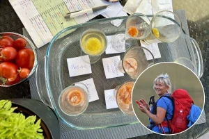 Fermentacijom do kvalitetnog čuvanja semena paradajza, evo i kako