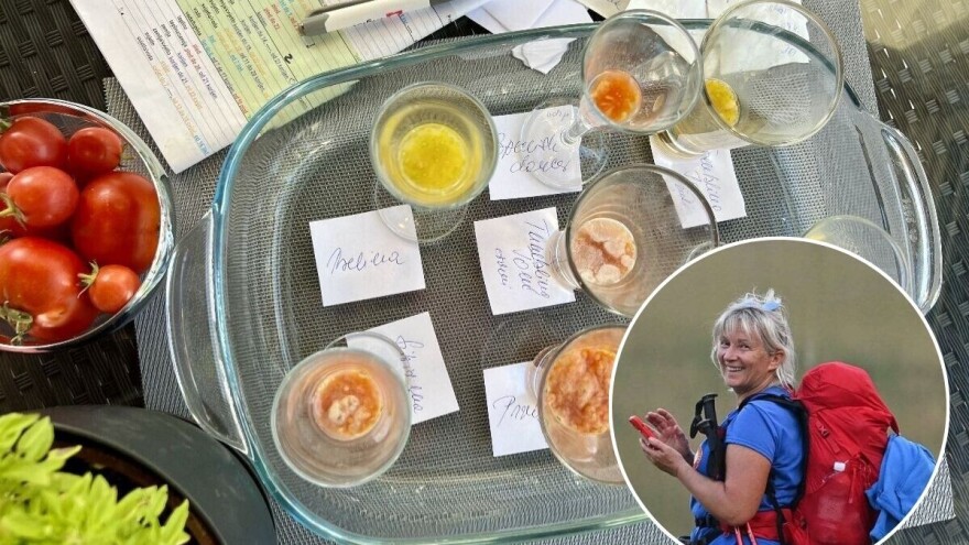 Fermentacijom do kvalitetne pohrane sjemenki rajčica, evo i kako