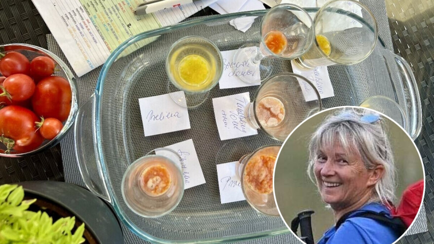 Fermentacijom do kvalitetne pohrane sjemenki paradajza, evo i kako