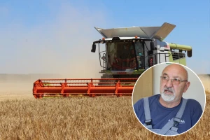 Ratari prelomili: Ove jeseni siju znatno manje obične pšenice, cilj je durum i proizvodnja tjestenine