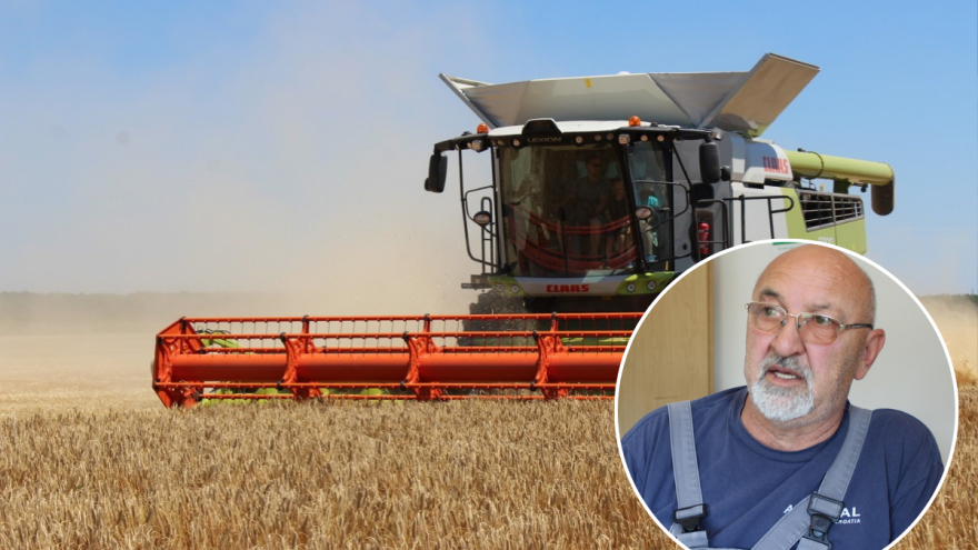 Ratari prelomili: Ove jeseni siju znatno manje obične pšenice, cilj je durum i proizvodnja tjestenine