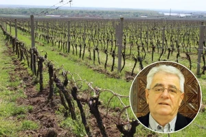 Kakvo nas vrijeme očekuje za Uskrs?
