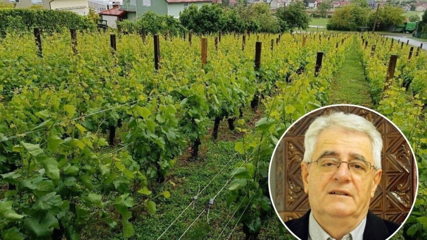 "Suhi juni lagve puni" pa neka i ostane tako