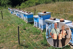 Drska krađa, laik to ne bi znao učiniti: Zdravku Perdijiću netko izvrcao med, odnio i košnice