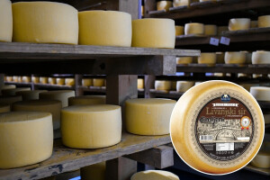 Naši sirevi uz rame s najboljima na svijetu: Tri medalje s najvećeg takmičenja