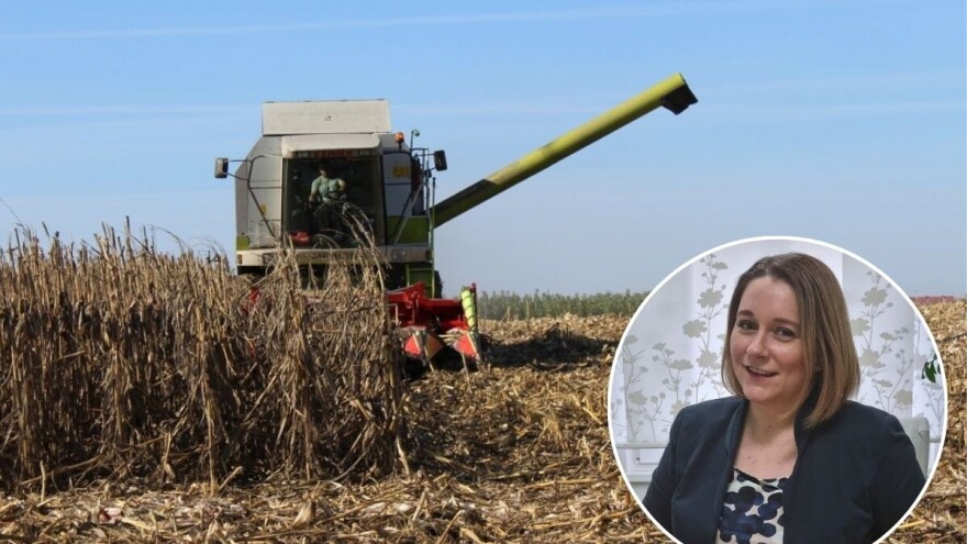 Prolaznost EU projekata u hrvatskoj poljoprivredi: Manje od 3% OPG-ova prijavljuje se na natječaje