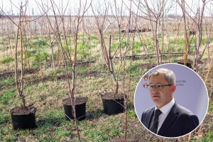 Glamočić: "Država naredne godine vraća podsticaje za proizvođače sadnica"