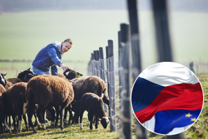 Poljoprivrednici, prijavite se na trodnevno studijsko putovanje u Češku!