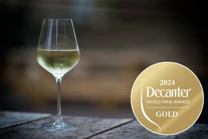 Decanter 2024: Zlatne medalje osvojilo 11 hrvatskih vinarija