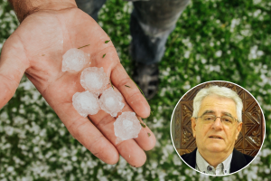 Opasnost od ponovne pojave tuče sve nam je bliža