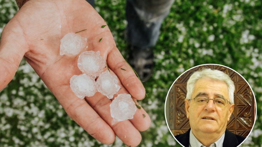 Opasnost od ponovne pojave tuče sve nam je bliža