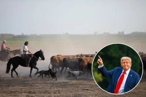 Trumpov plan za uvoz argentinske govedine izazvao bijes američkih farmera