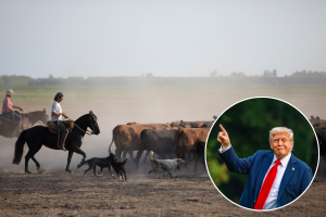 Trumpov plan za uvoz argentinske govedine izazvao bijes američkih farmera
