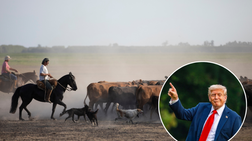 Trampov plan za uvoz argentinske govedine izazvao bes američkih farmera