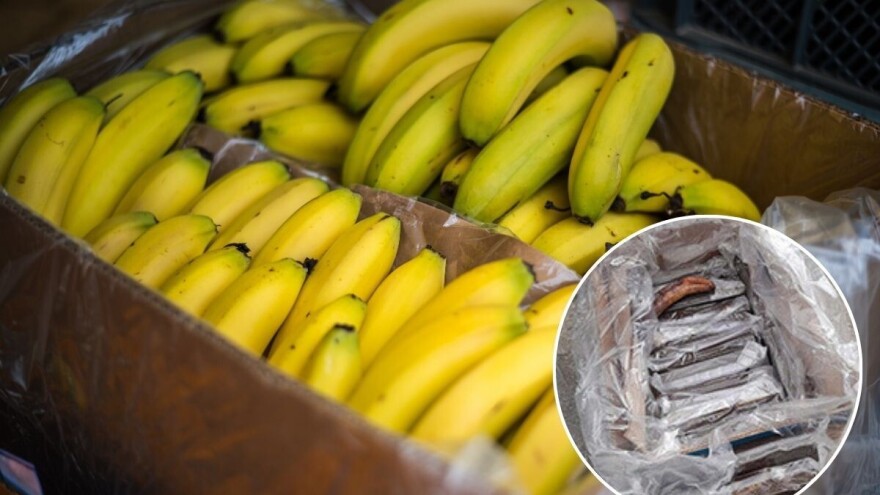 U kutijama sa bananama pronađeno 15 kilograma kokaina