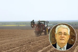 Ovog tjedna pokušajmo što više posijati i posaditi te obaviti preventivna prskanja