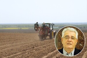 Ovog tjedna pokušajmo što više posijati i posaditi te obaviti preventivna prskanja