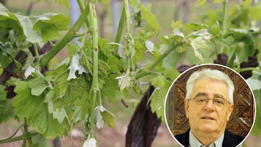 I dalje nestabilno s lokalnim pljuskovima i grmljavinom, moguća i tuča