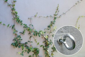 Kako napraviti "nevidljivu" potporu za penjačicu