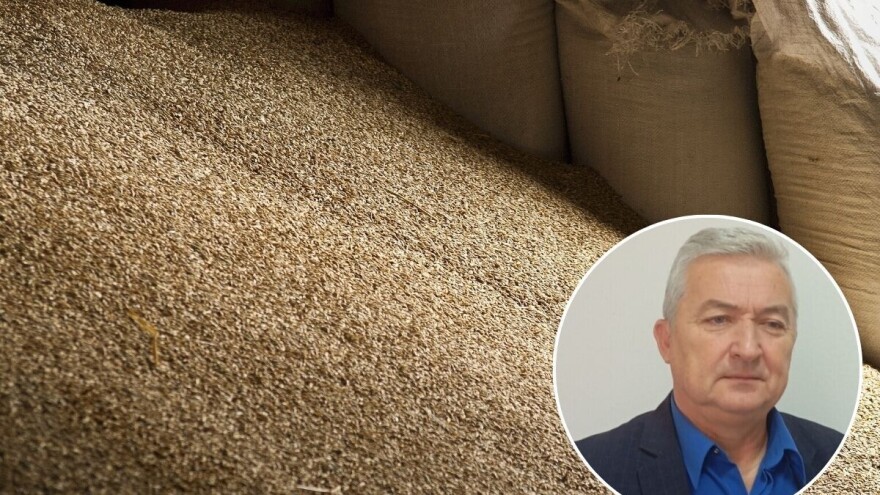 Setva pšenice "sa tavana" - skupa greška koju ponavljamo