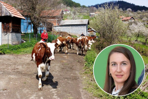 Odmor uz jakuzzi i saunu usred sela, pa još i kravu pomuzeš: Da, u BiH je!