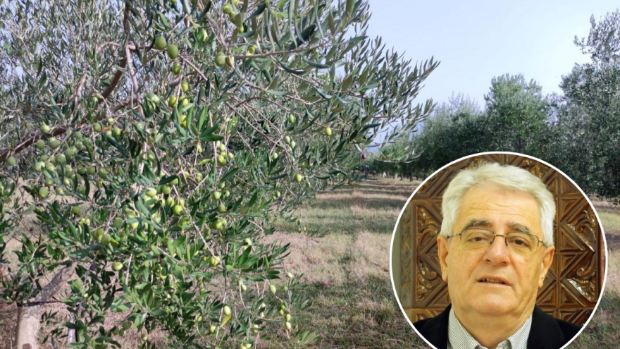 Topao listopad – mrzla veljača?