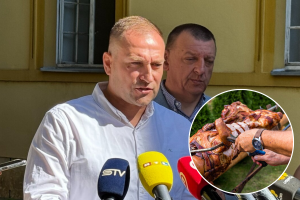 Zbog afričke svinjske kuge 'pala' pečenkijada, Vlajčić: Nažalost, neće se održati