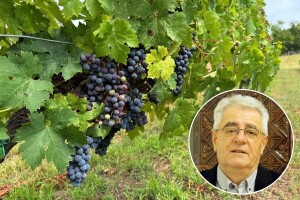 Pripremite se, stiže novi toplinski val