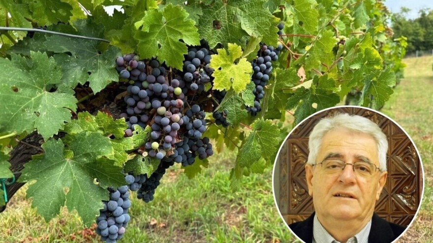 Pripremite se, stiže novi toplinski val