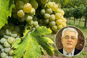 Toplinski val se nastavlja, nisu isključeni ni lokalni pljuskovi, grmljavine pa i tuče