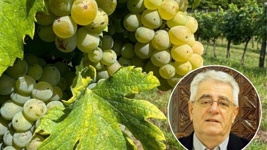 Toplinski val se nastavlja, nisu isključeni ni lokalni pljuskovi, grmljavine pa i tuče