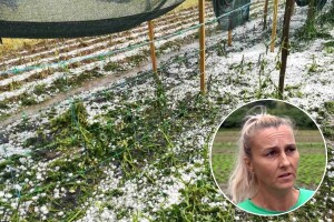 Zagreb ima krivi poštanski: Više od 9.000 poljoprivrednika u slučaju šteta ne može dobiti pomoć